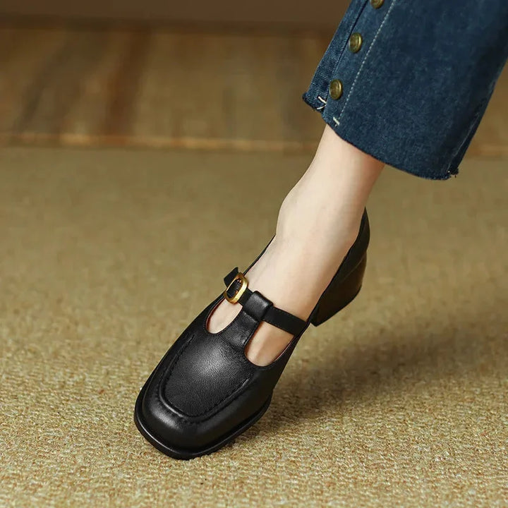 Rich brown T-Strap Mary Jane block heel shoes for women, offering classic style and comfort.