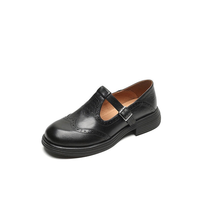 Versatile brown women's Mary Jane shoes, classic buckle strap, closed toe, comfortable flat style.