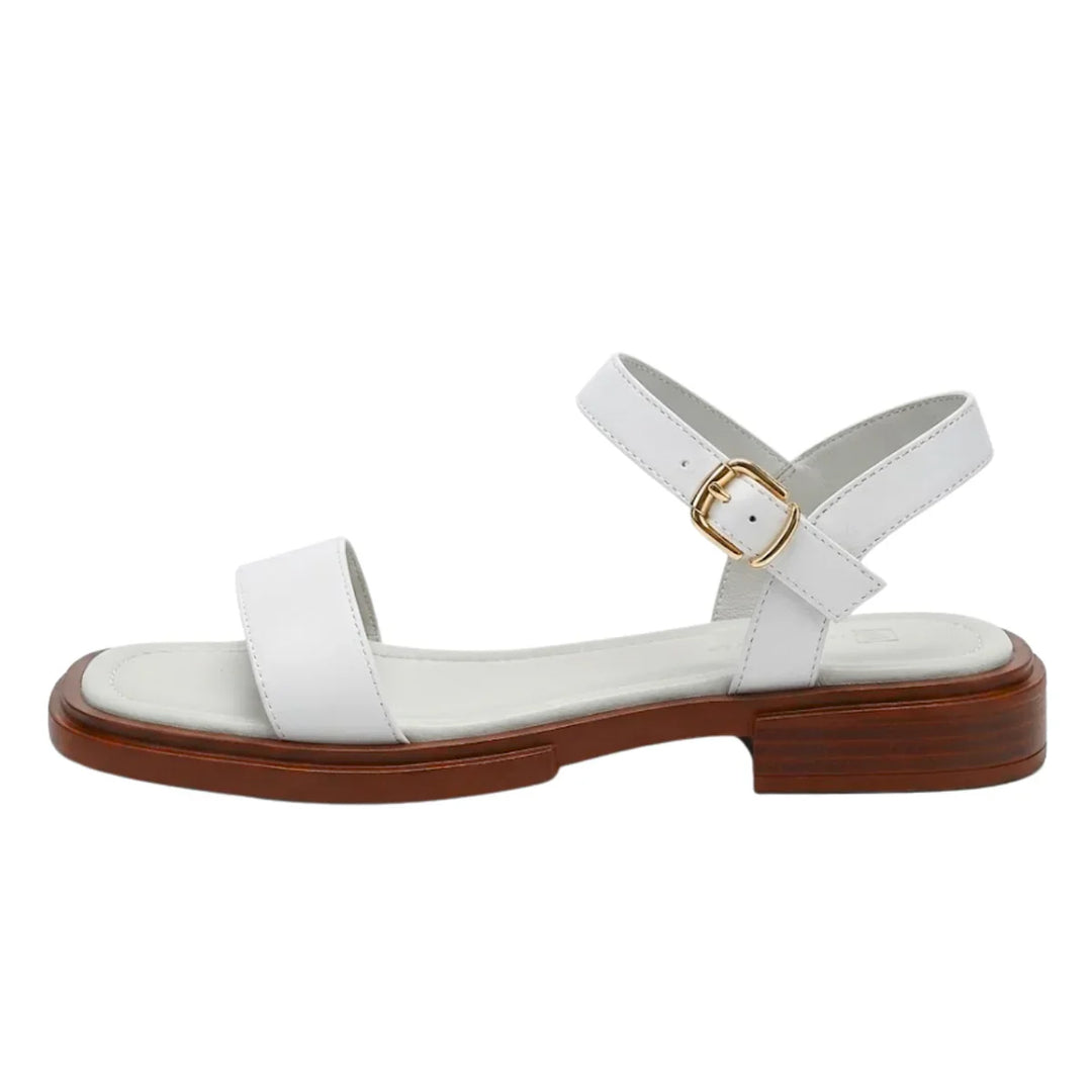 Stylish women's holiday sandals: adjustable straps ensure comfort and a perfect fit for any activity.