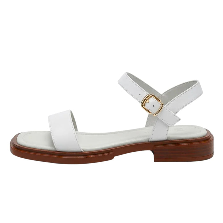 Stylish women's holiday sandals: adjustable straps ensure comfort and a perfect fit for any activity.