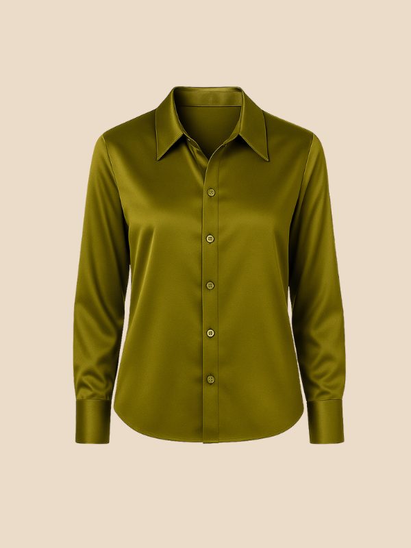 Smart women's button-down blouse, long sleeve, pointed collar, suitable for meetings.