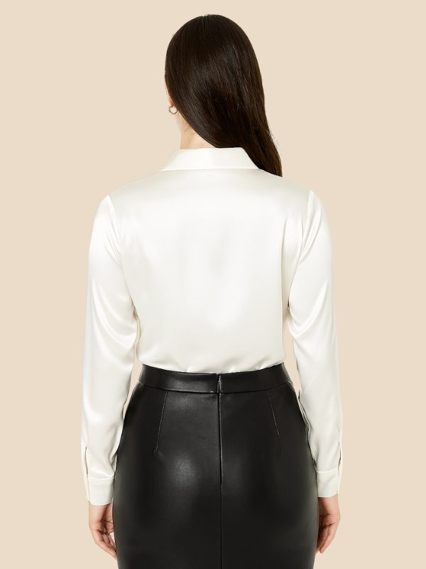 Women's button-down shirt with elegant pointed collar, long sleeve, for a polished outfit.