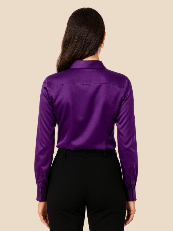 Smart women's long sleeve button-down blouse with a sharp pointed collar.