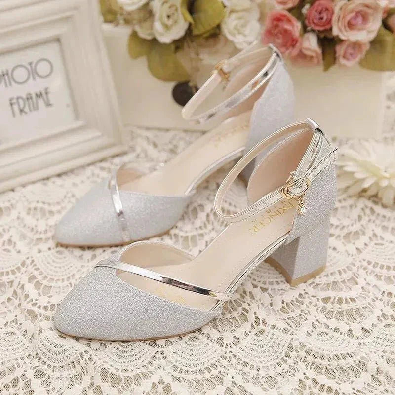 Women's elegant silver block heel shoes with adjustable ankle strap for a secure fit.