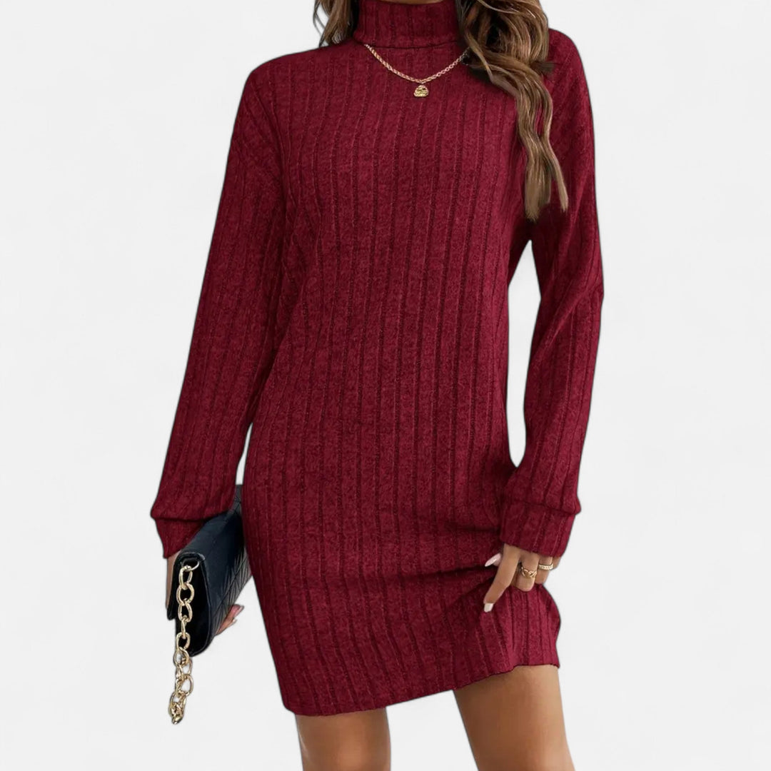 Women's elegant textured turtleneck knit dress in charcoal grey, long sleeves