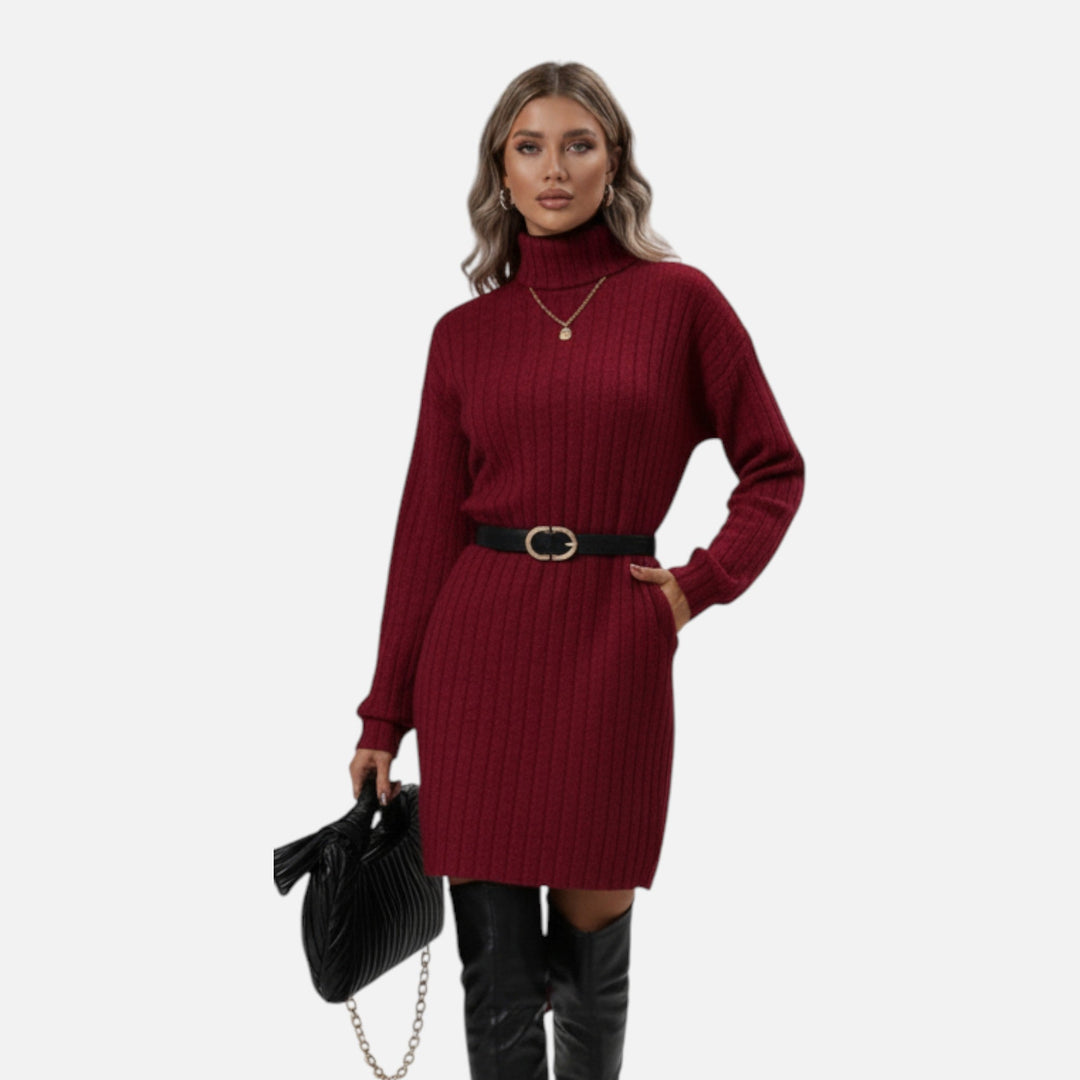 Cozy knit turtleneck dress for women, perfect for fall and winter fashion