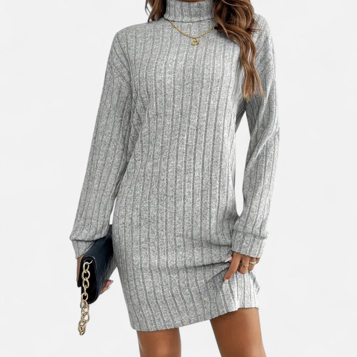 Stylish women's turtleneck dress in a soft, cozy knit fabric, ideal for layering