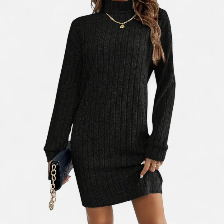 Elegant fall fashion: women's textured knit dress with a comfortable turtleneck