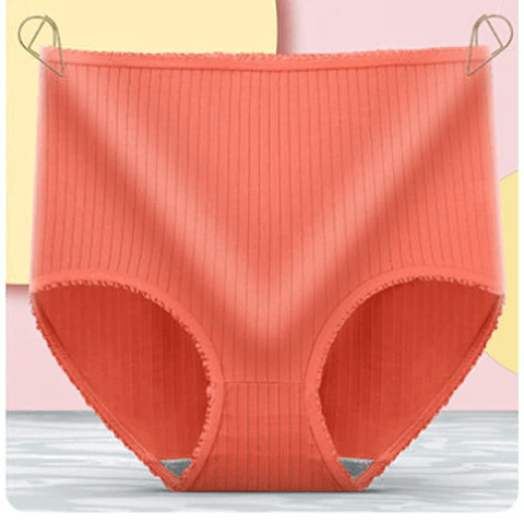 All-day comfort with women's leakproof silk-cotton underwear trio. Breathable protective briefs for everyday wear.
